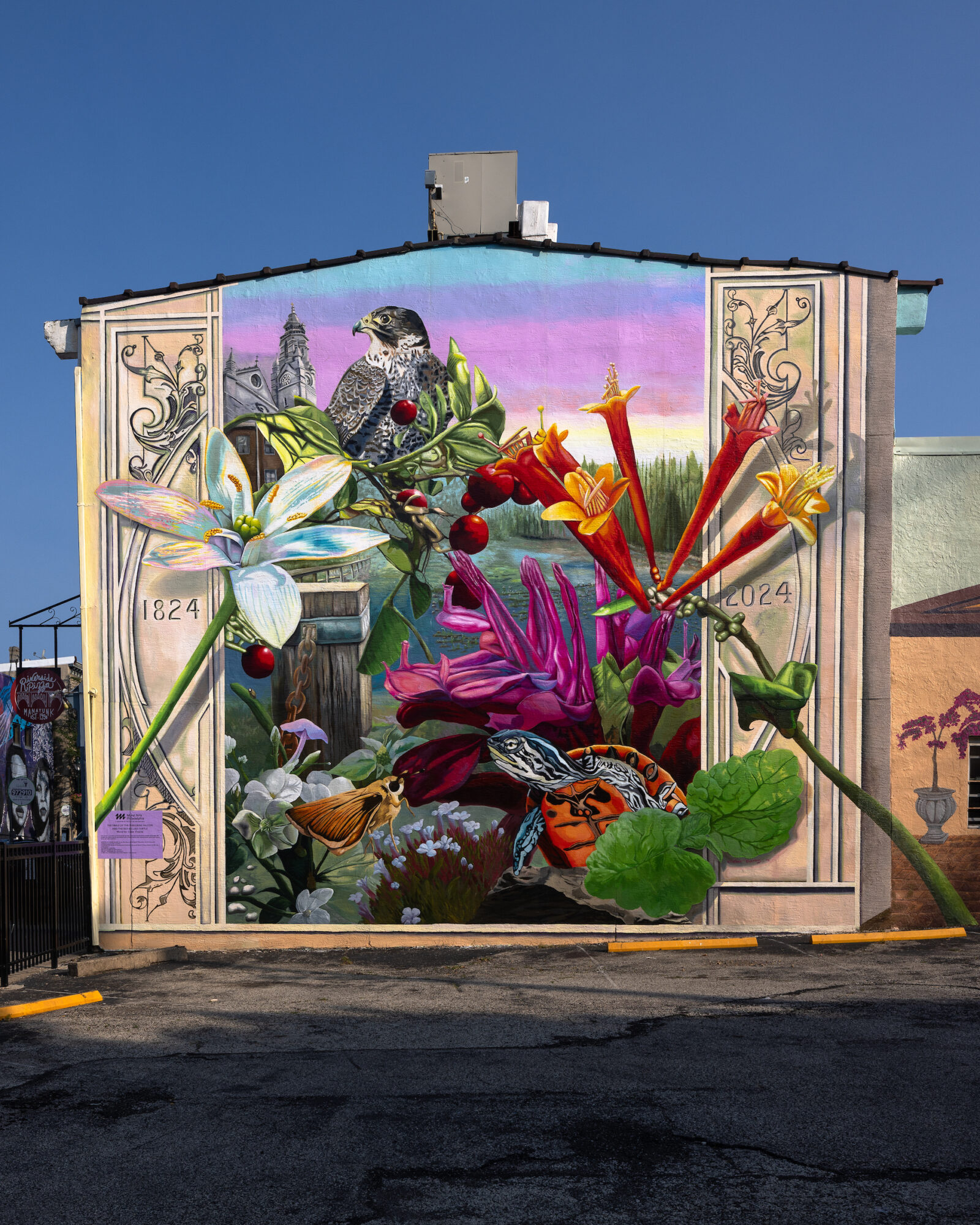 The Fable of the Peregrine Falcon and the Red-Bellied Turtle