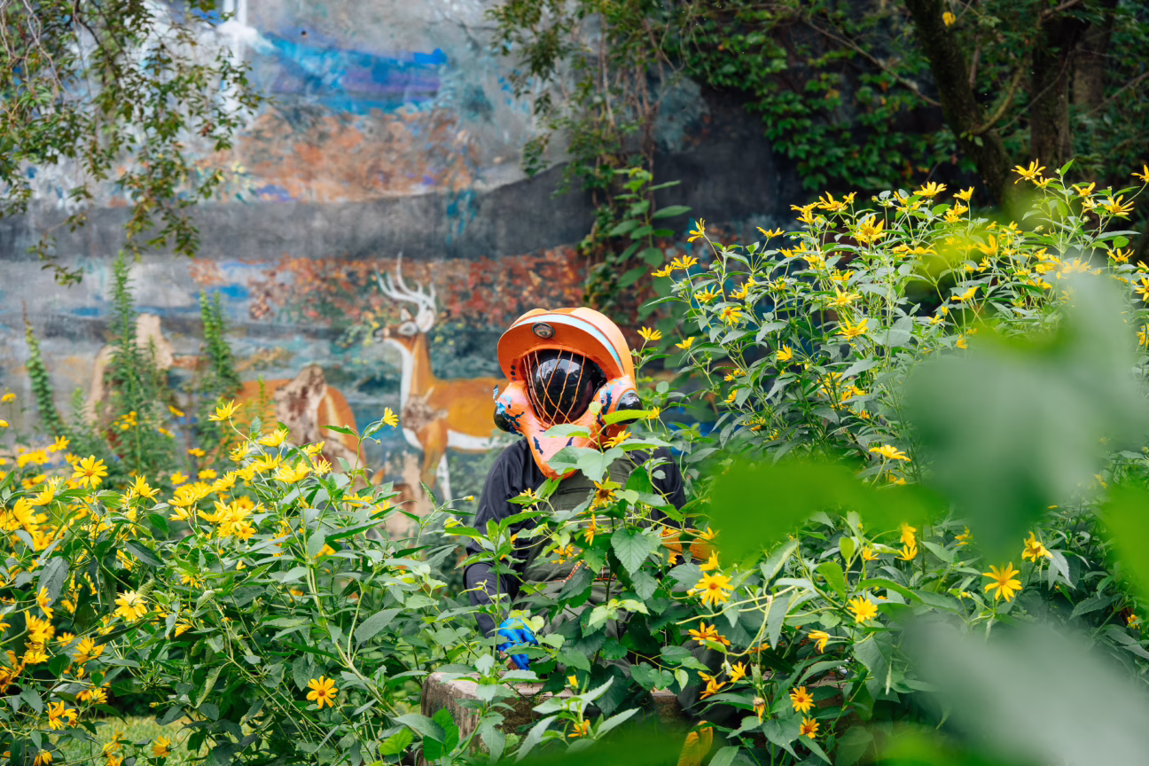 City of Philadelphia Mural Arts Program